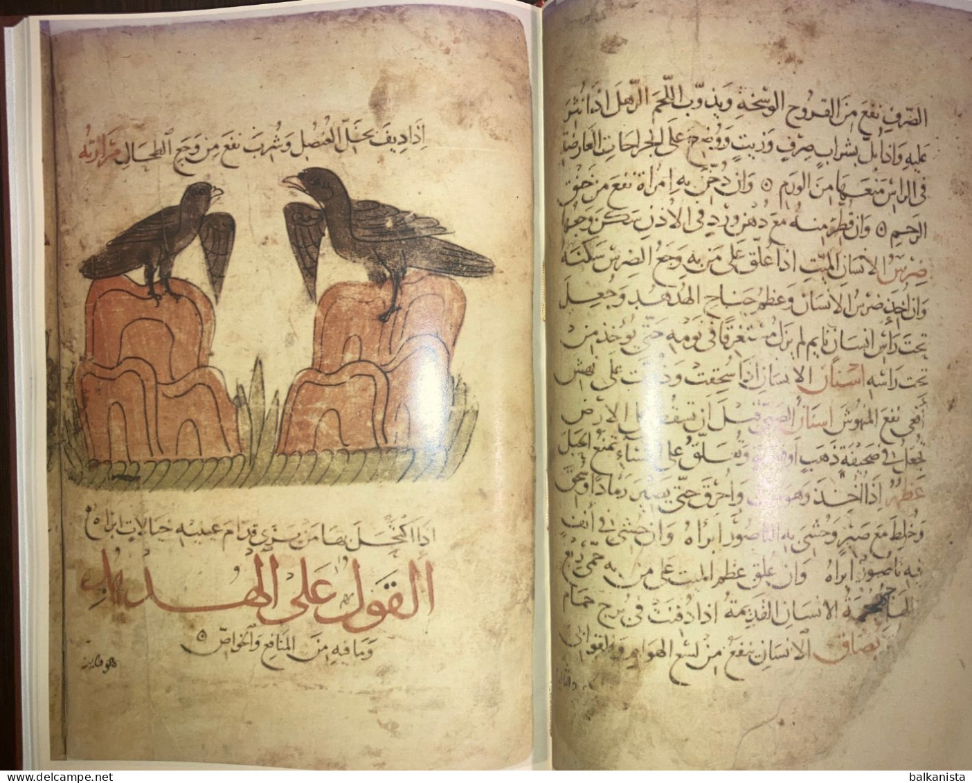 Kitab Manafi Al Hayavan Bakhtishu Usefulness Of Animals ARABIC Havass Facsimile - Livres Anciens