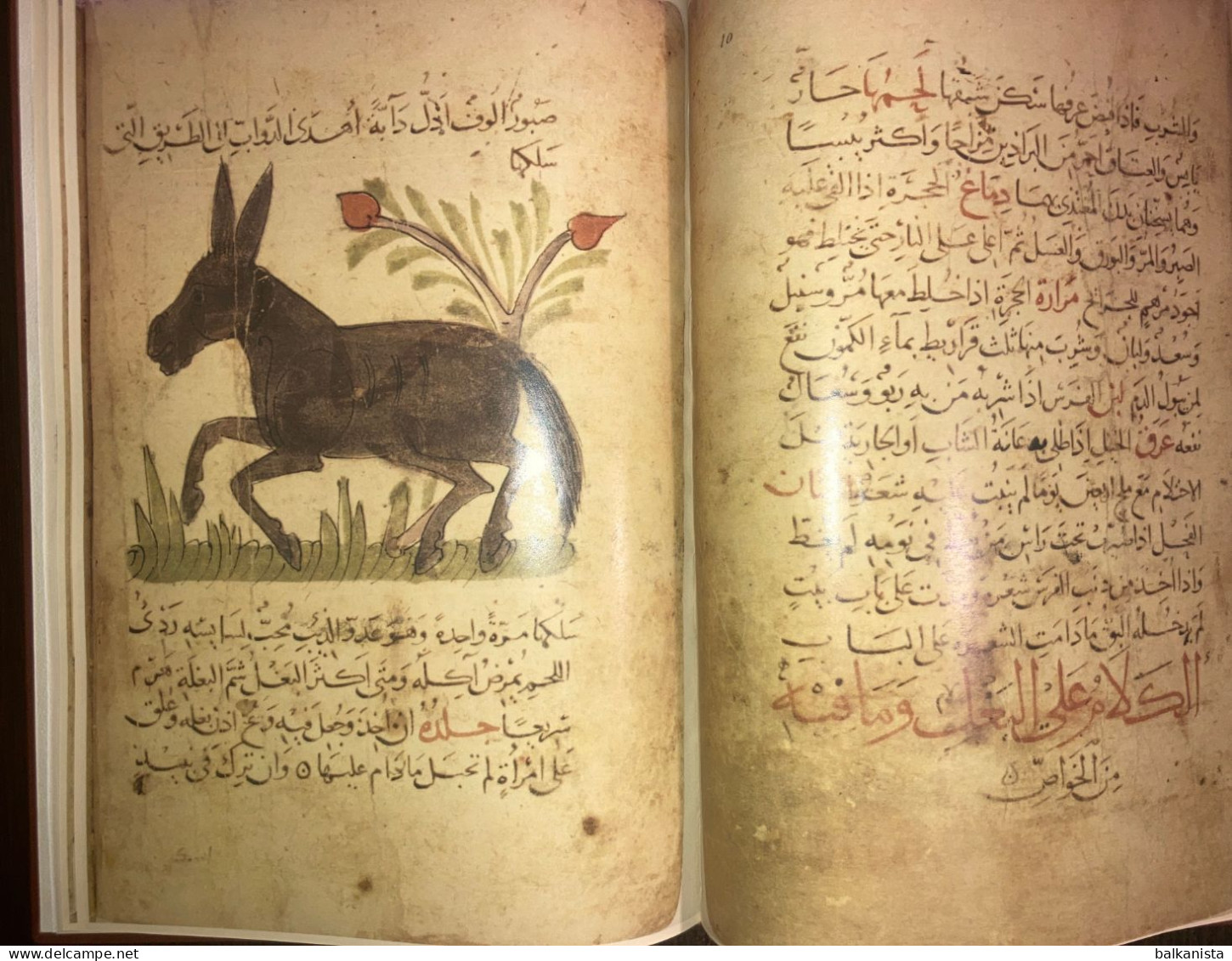 Kitab Manafi al Hayavan Bakhtishu Usefulness of Animals ARABIC Havass Facsimile