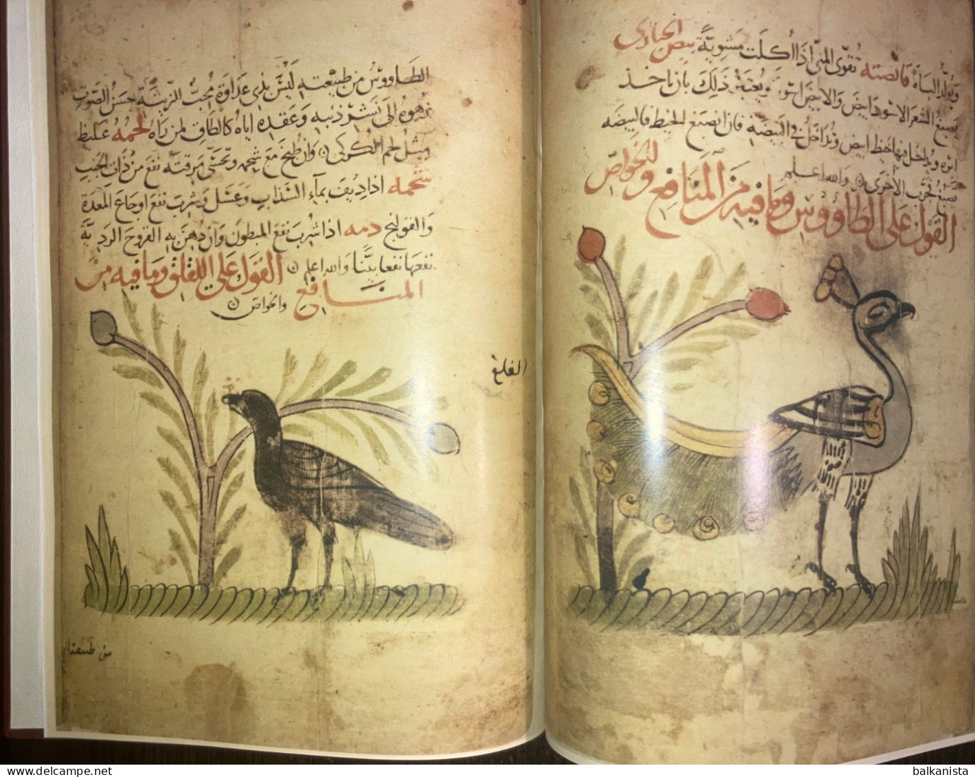 Kitab Manafi al Hayavan Bakhtishu Usefulness of Animals ARABIC Havass Facsimile