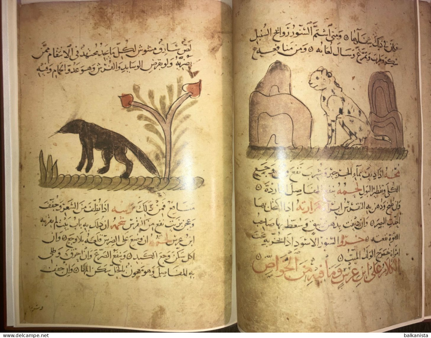 Kitab Manafi al Hayavan Bakhtishu Usefulness of Animals ARABIC Havass Facsimile