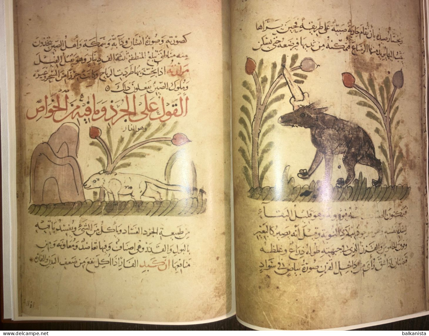 Kitab Manafi al Hayavan Bakhtishu Usefulness of Animals ARABIC Havass Facsimile