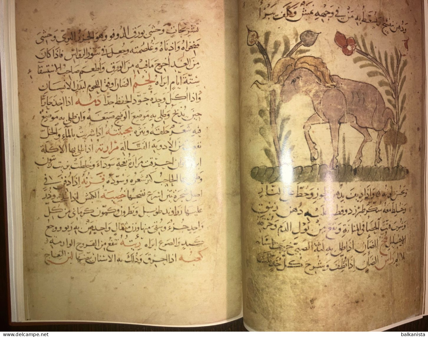 Kitab Manafi al Hayavan Bakhtishu Usefulness of Animals ARABIC Havass Facsimile
