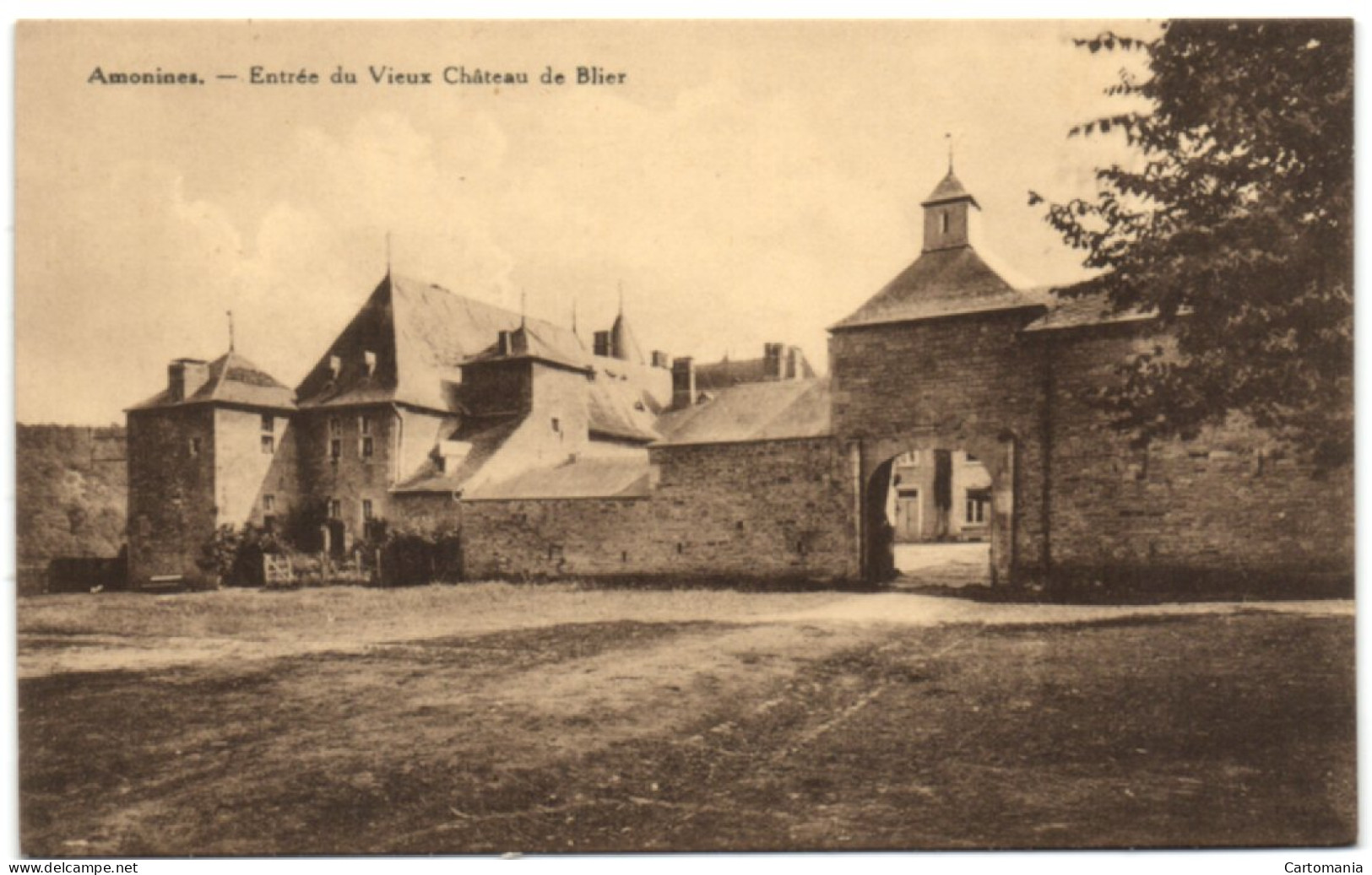 Amonines - Entrée Du Vieux Château De Blier - Erezée