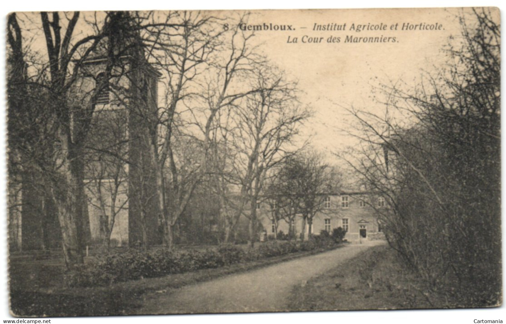 Gembloux - Institut Agricole Et Horticole - Le Cour Des Maronniers - Gembloux