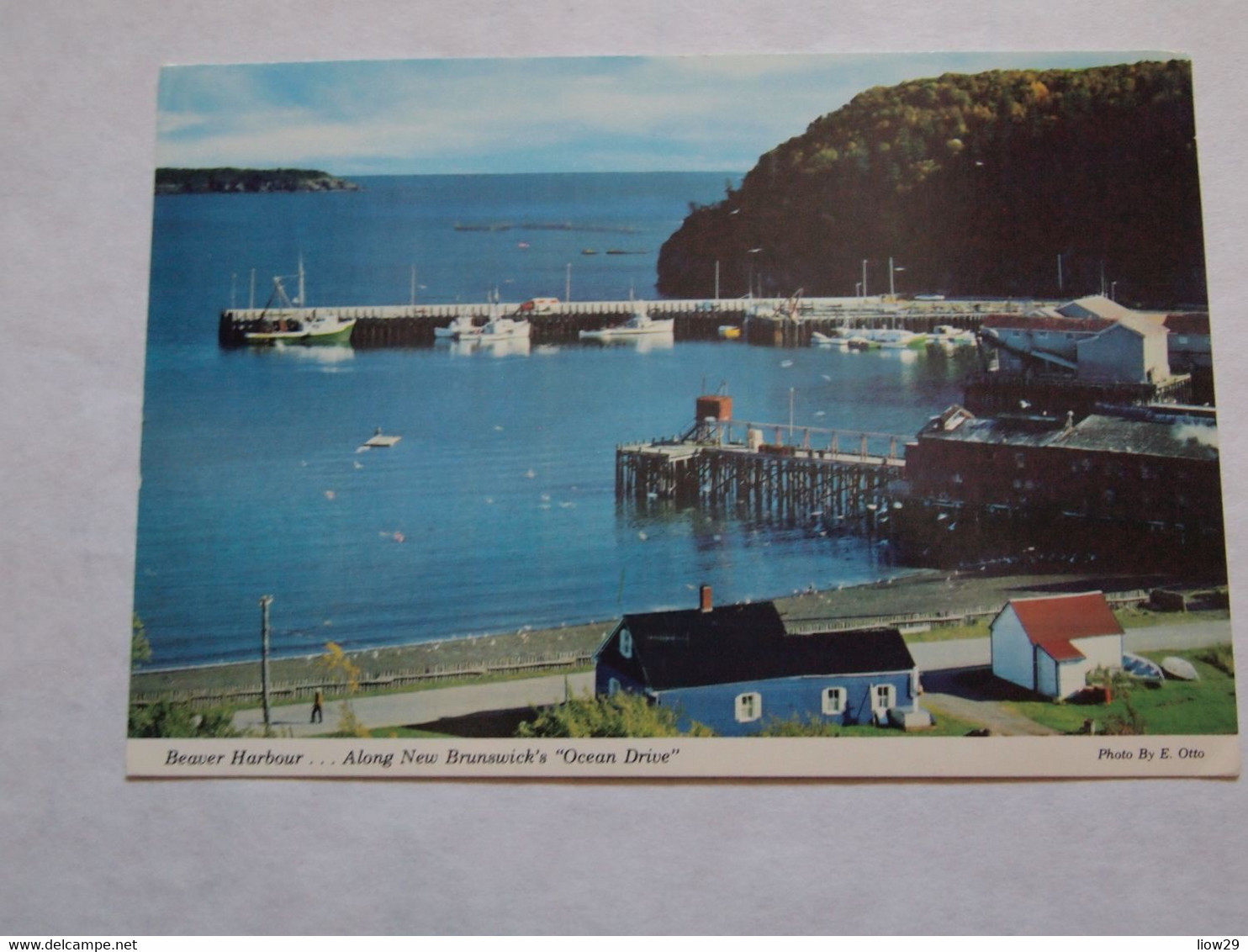CPA Canada New Brunswick Beaver Harbour - Otros & Sin Clasificación