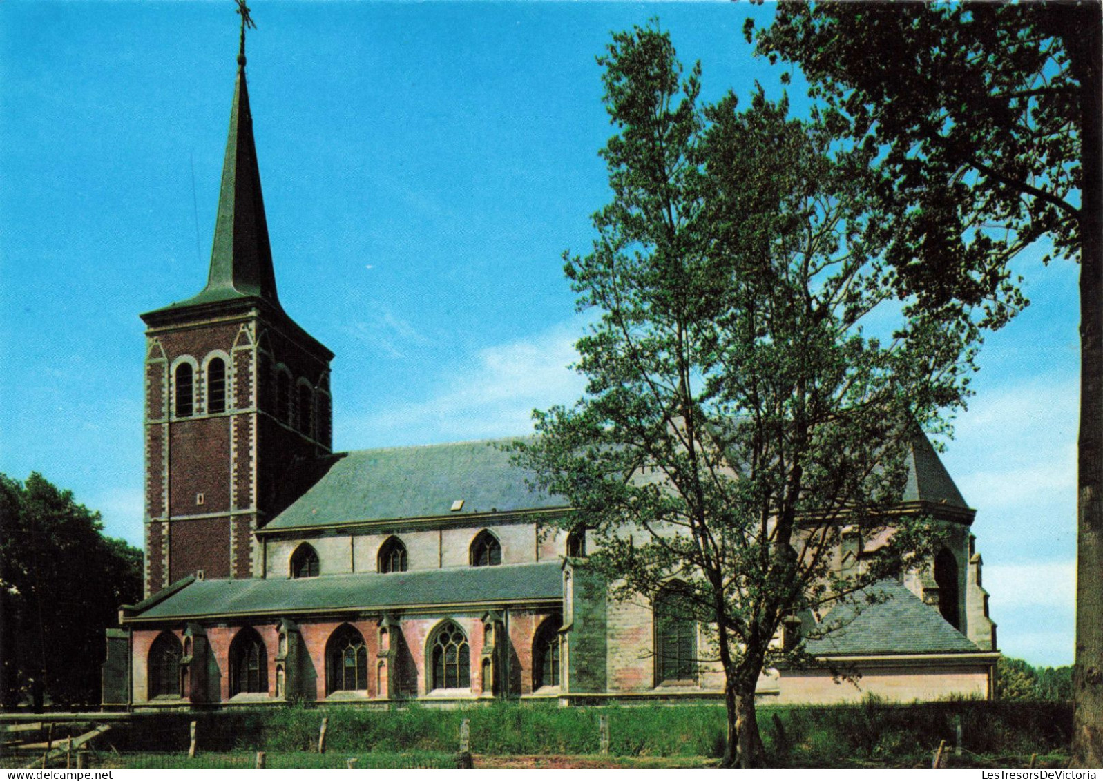 BELGIQUE - Neeroeteren - St Lambertuskerk - Colorisé - Carte Postale Ancienne - Maaseik