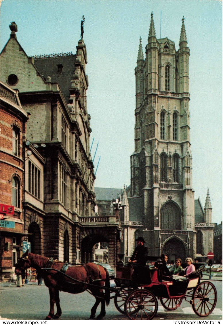 BELGIQUE - Gent - Cathédrale St Bavon - Colorisé - Carte Postale Ancienne - Gent