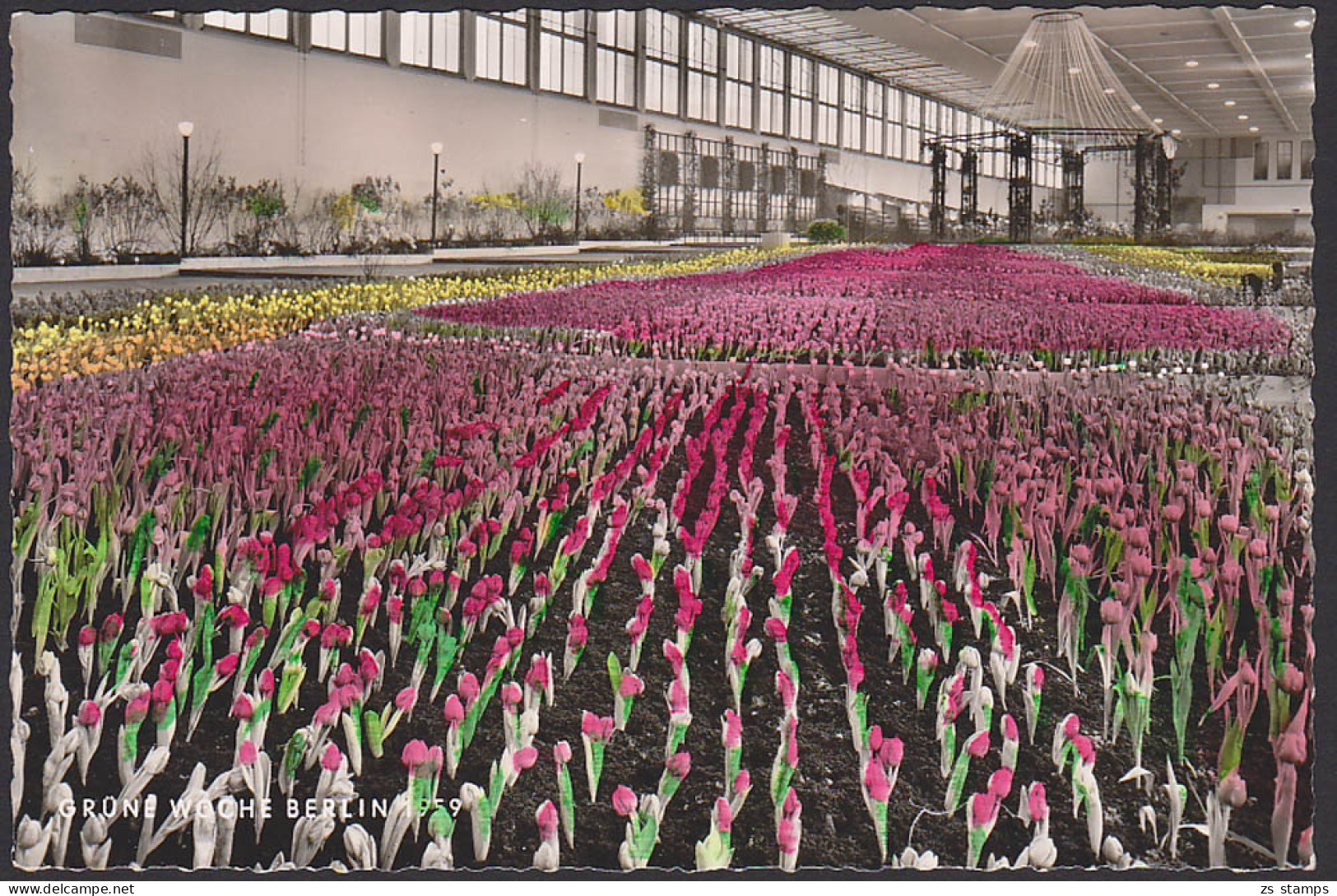 Berlin-Charlottenburg SoSt. Grüne Woche 8.2.59 Auf Ak Mit Tulpen - Maschinenstempel (EMA)