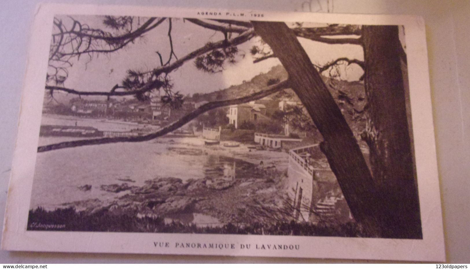 83 LE LAVANDOU AGENDA PLM 1925 VUE PANORAMIQUE - Le Lavandou