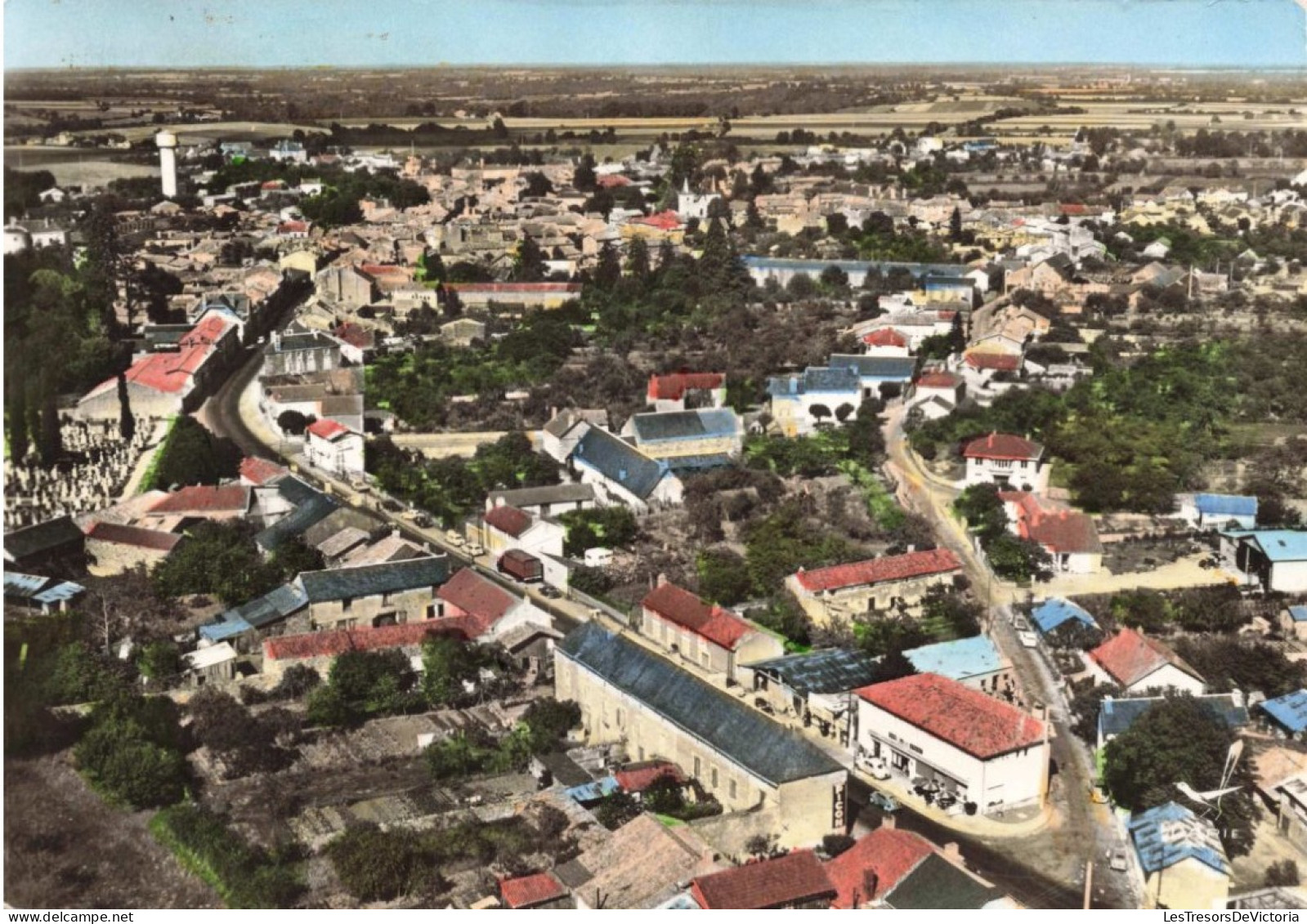 FRANCE - Couhé Verac - Vienne - Avenue De Bordeaux - Colorisé - Carte Postale Ancienne - Couhe