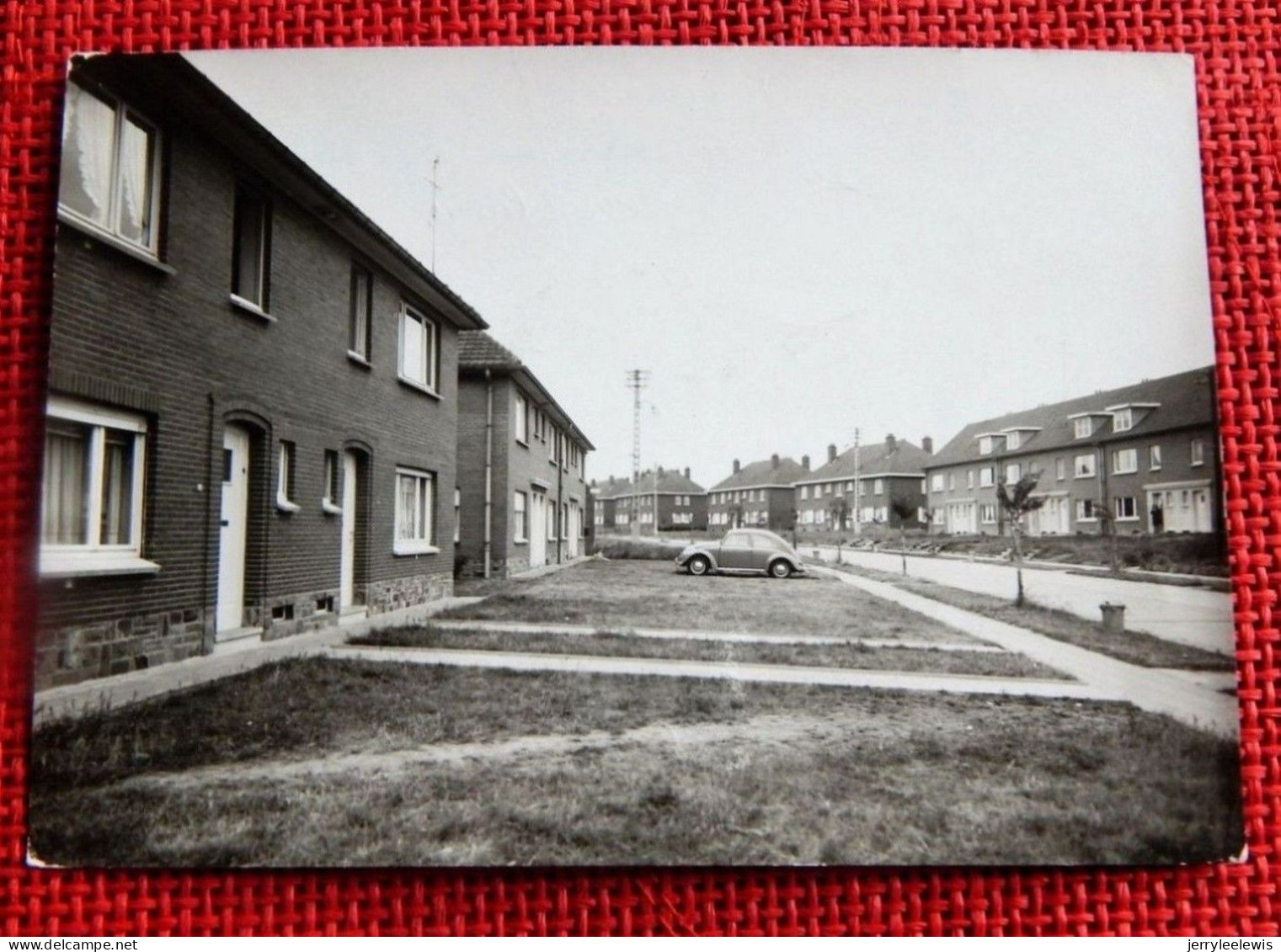 HORNU - Cité Bas-Courtils - Avenue Lemal - Cliché  Original Destiné à L'édition De La Carte Postale - Boussu