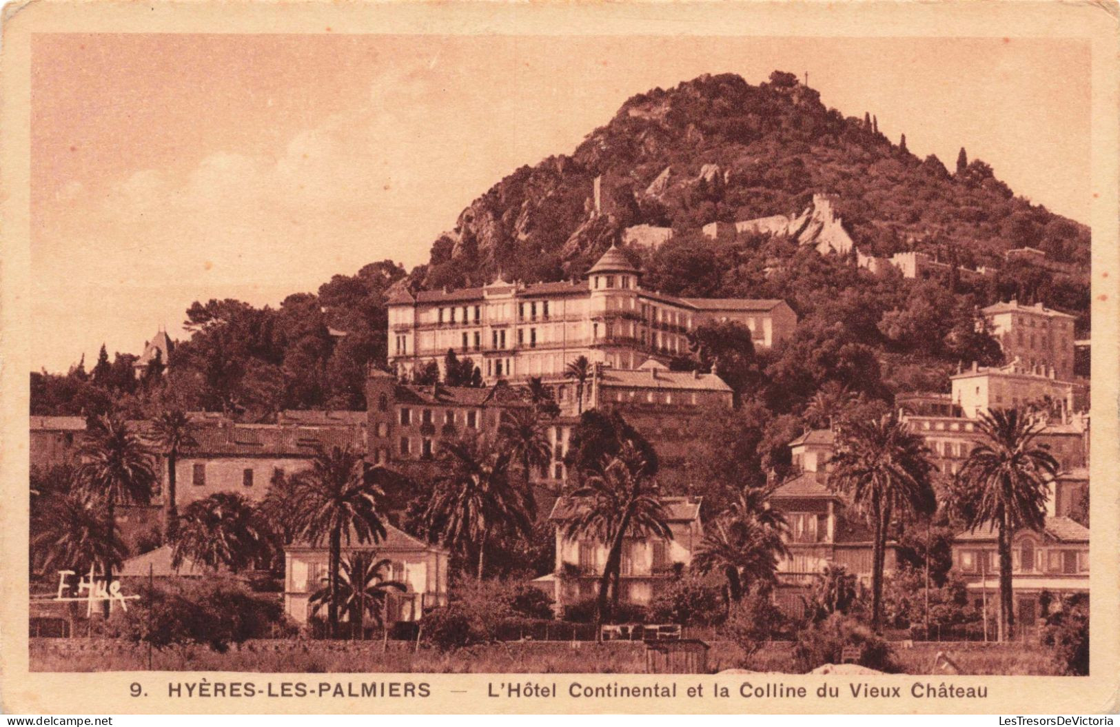 FRANCE - Hyeres Les Palmiers - L'Hôtel Continental Et La Colline Du Vieux Château - Carte Postale Ancienne - Hyeres