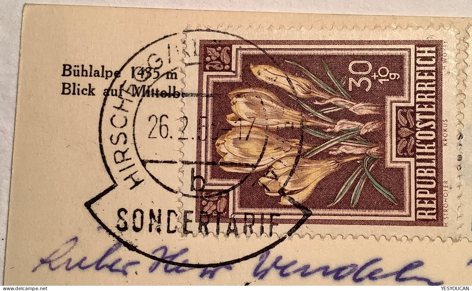 HIRSCHEGG KLEINWALSERTAL SONDERTARIF1953 Portogerecht ! Blumen Ak>BRD (BUND Österreich Flowers Fleur Inclave Austria - Cartas & Documentos