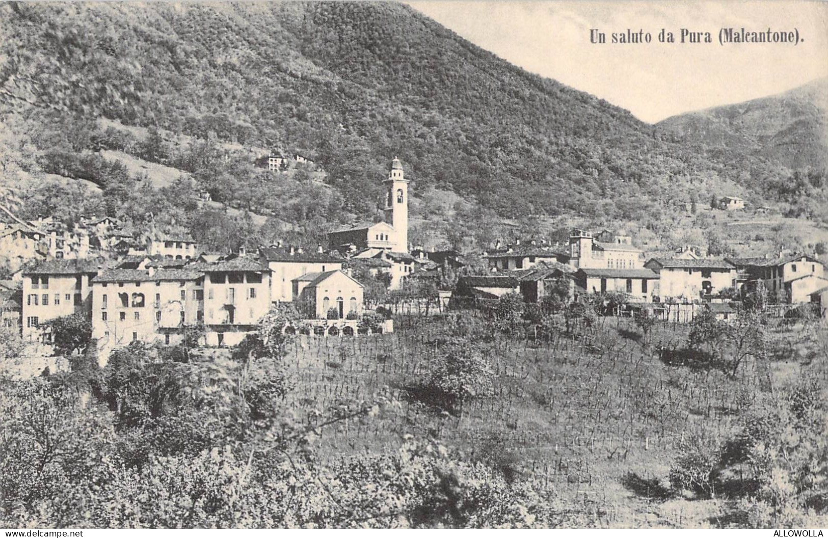 23673 " UN SALUTO DA PURA (MALCANTONE) " PANORAMA-VERA FOTO-CART.SPED.1912 - Pura