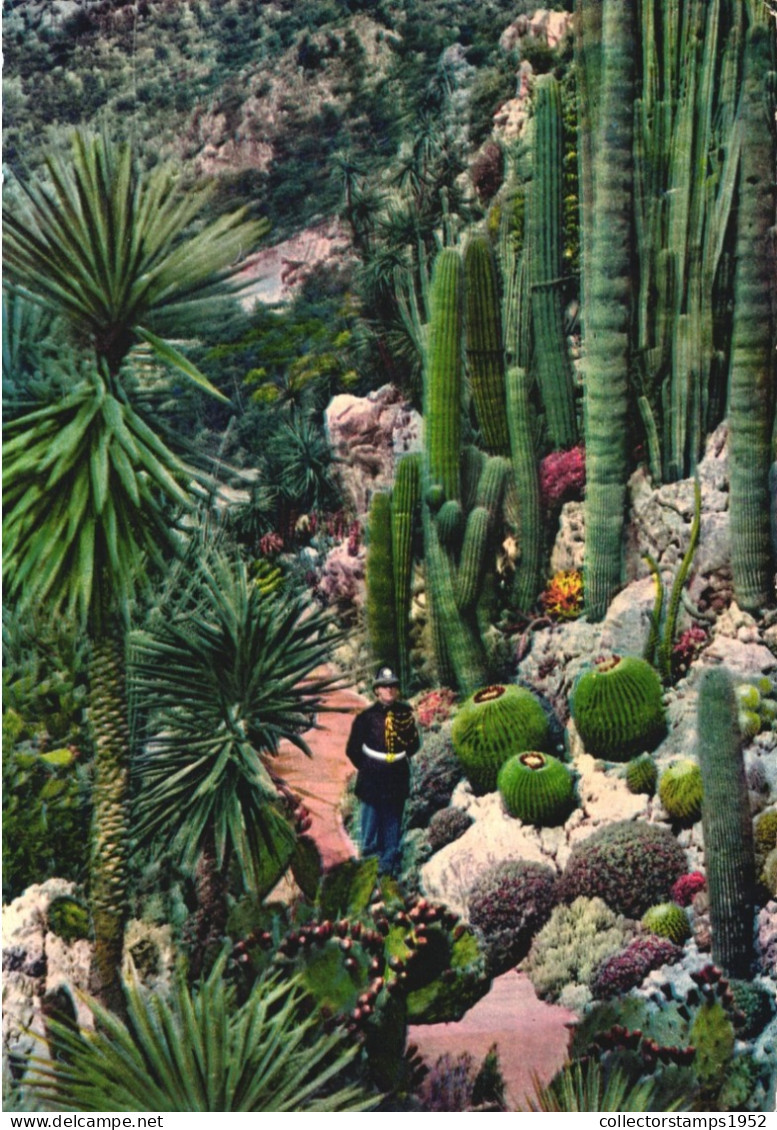 GARDEN, EXOTIC PLANTS, CACTUS, MONACO - Exotische Tuin