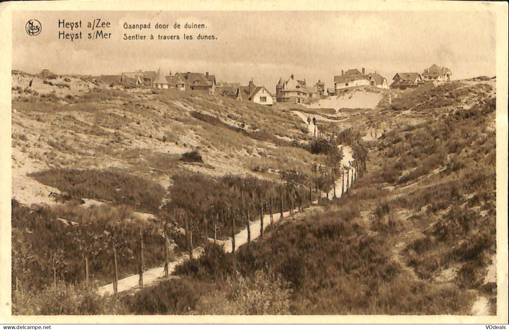 Belgique - Flandre Occidentale - Heist - Heyst S/Mer - Sentier à Travers Les Dunes - Heist