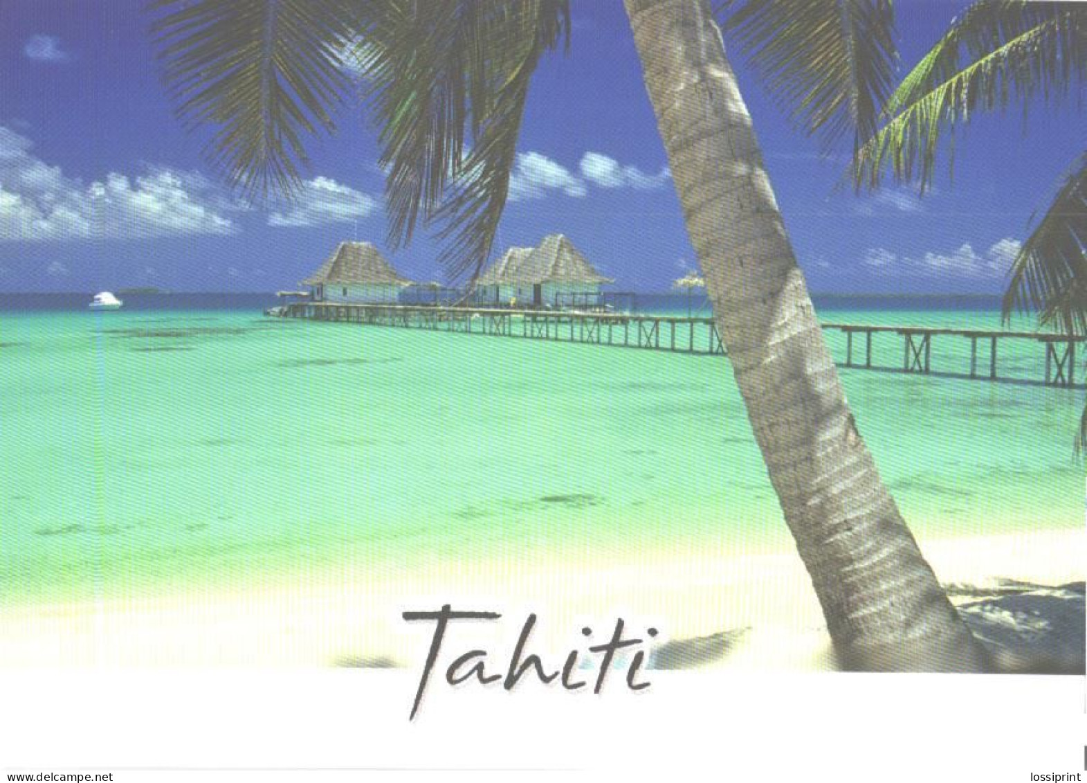 Tikehau Atoll, Houses - Polynésie Française