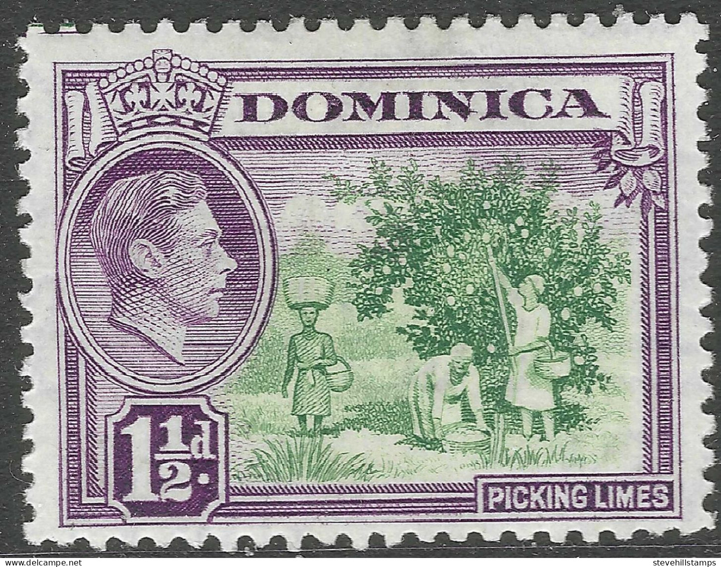 Dominica. 1938-47 KGVI. 1½d MH. SG 101 - Dominica (...-1978)