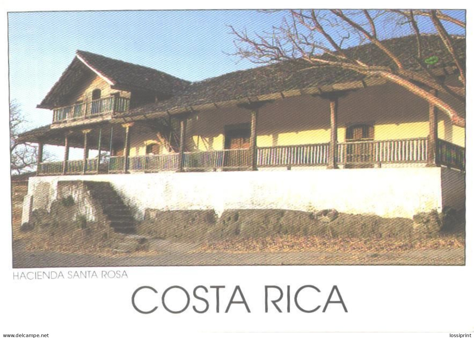 Costa Rica:Guanacaste, National Park, Hacienda Santa Rosa - Costa Rica