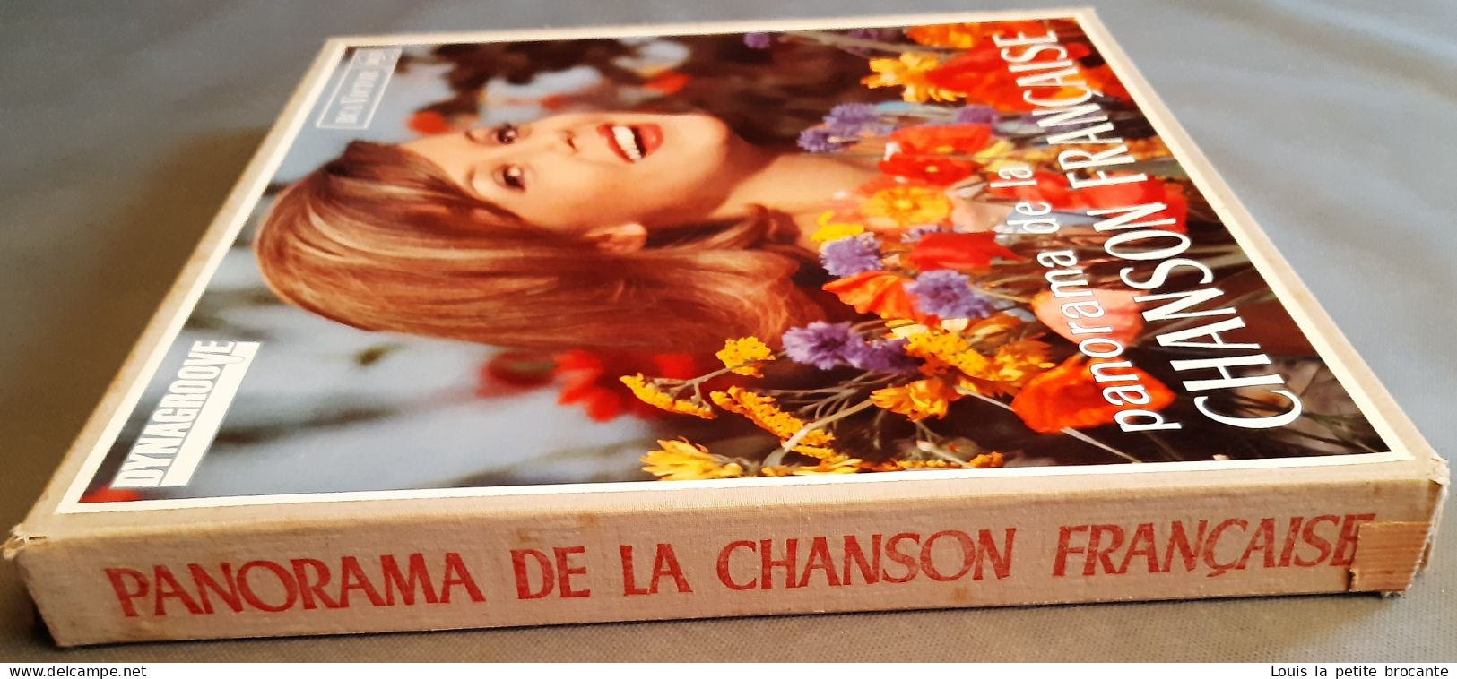 Coffret De 10 Disques Vinyles, PANORAMA DE LA CHANSON FRANCAISE - DINAGROOVE - RCA VICTOR 1964, 1 Chanson Rayée - Collections Complètes