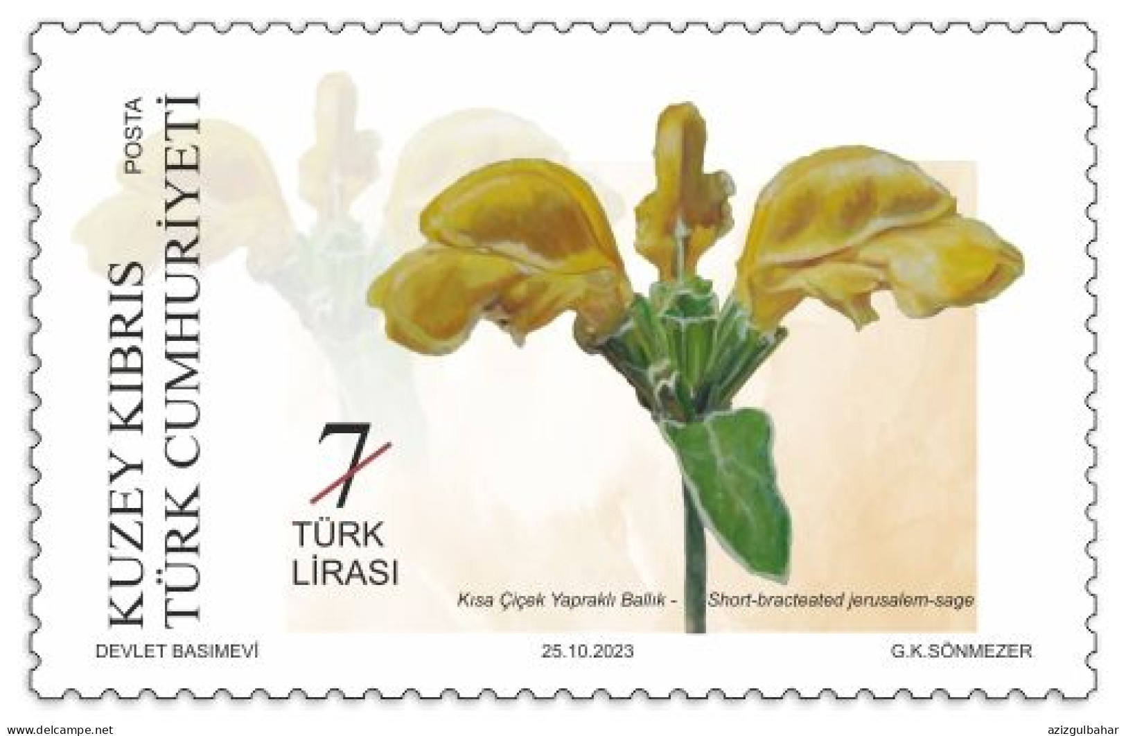 2023 - PLANTS - CYPRUS ENDEMICS - Heilpflanzen