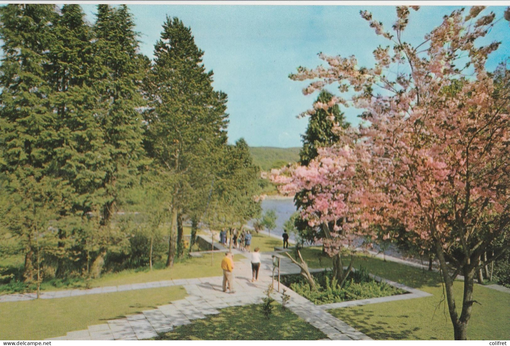 Irlande - Wicklow - Thomas Moore's Tree, Meeting Of The Waters, Avoca - Wicklow