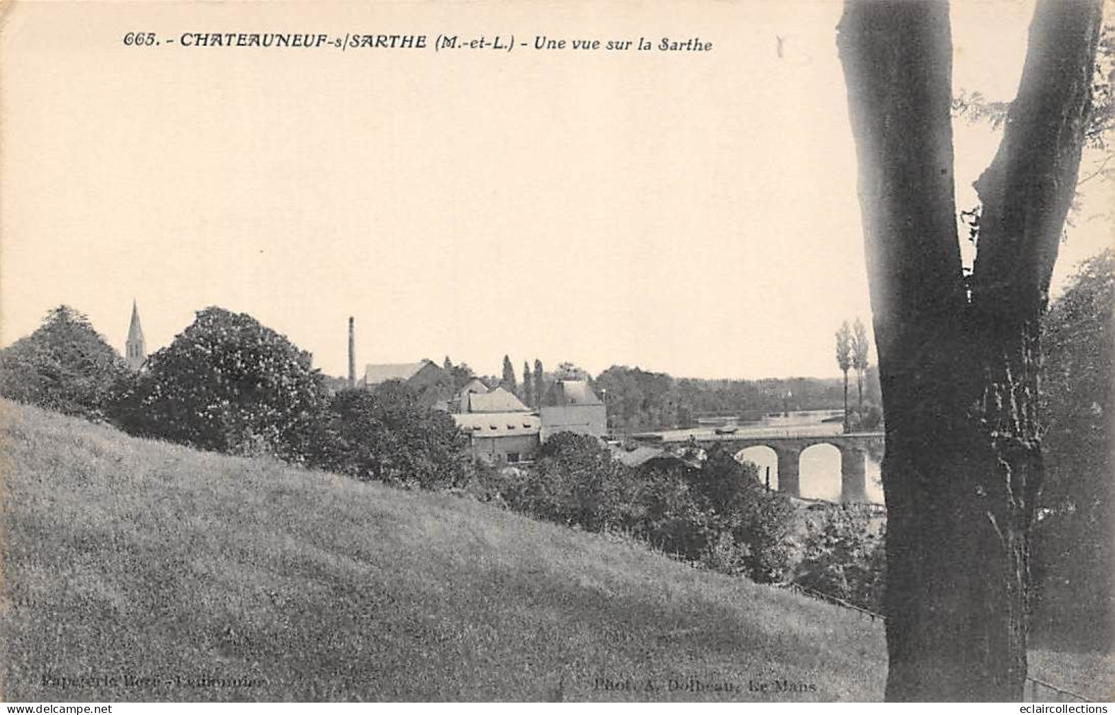 Chateauneuf Sur Sarthe      49       Une Vue Sur La Sarthe        (voir Scan) - Chateauneuf Sur Sarthe