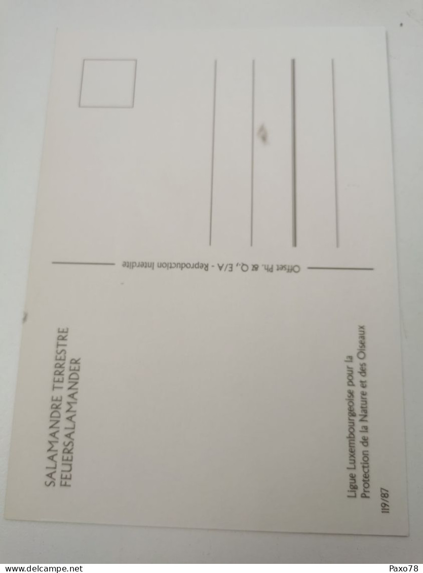Carte Maximum, Luxmax 1987 - Cartes Maximum