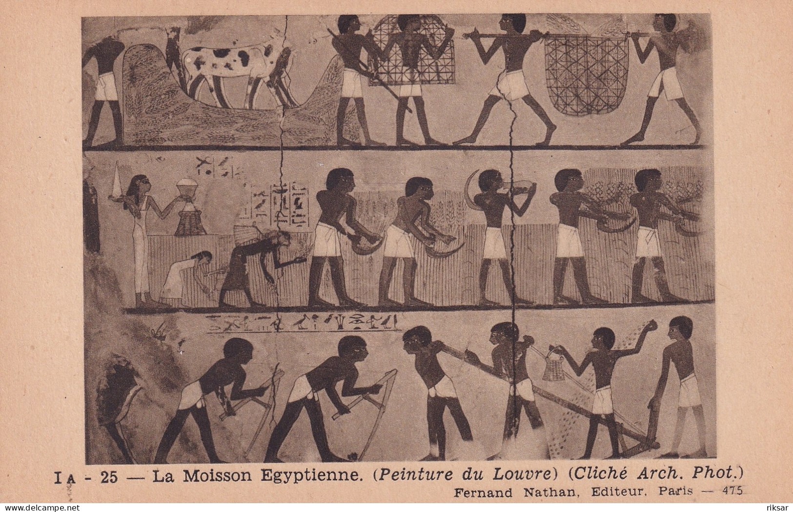 EGYPTE - Musées