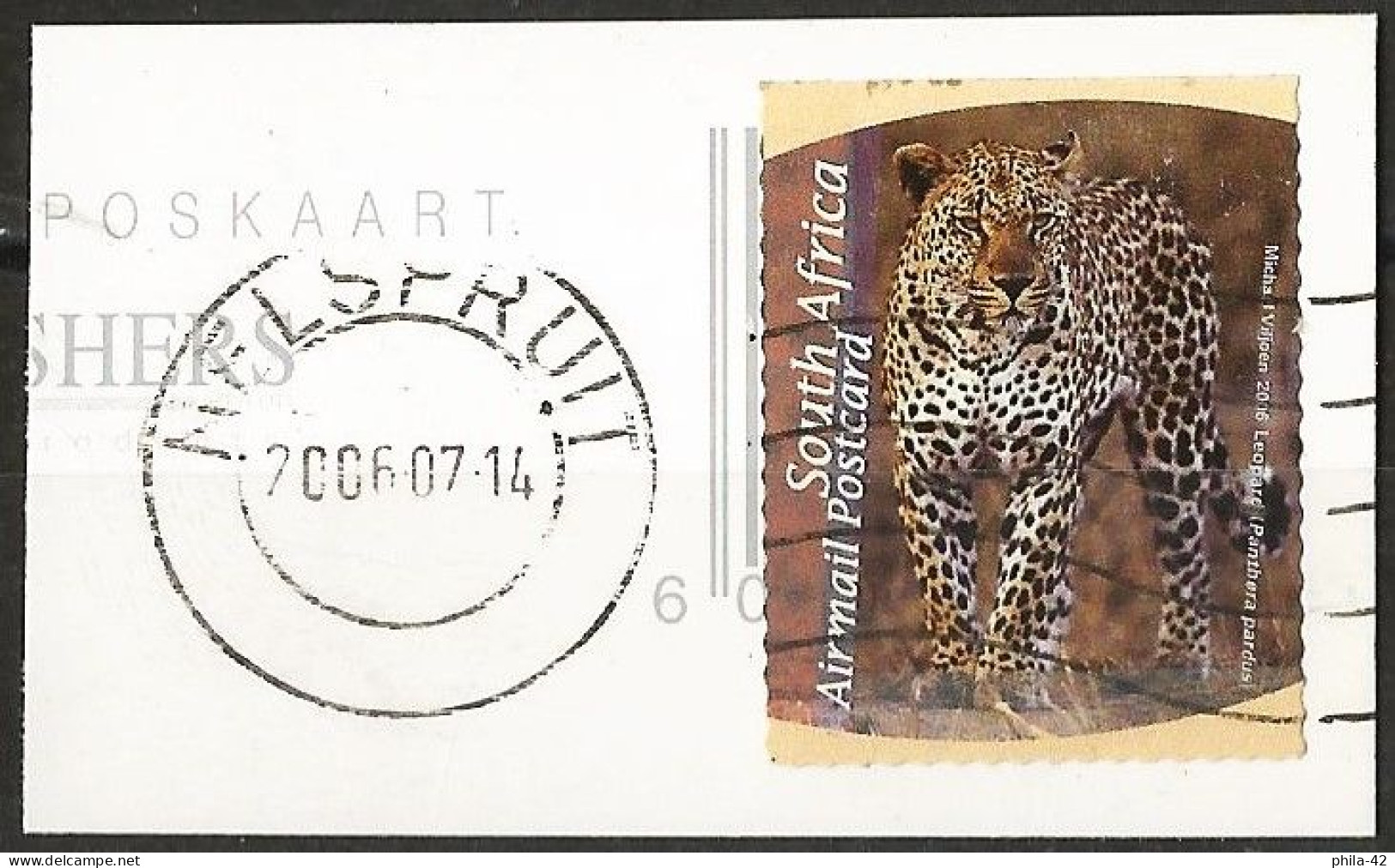 South Africa 2006 - Mi 1696 Do - YT Pa 131 ( Wild Fauna : Leopard ) Airmail - Poste Aérienne