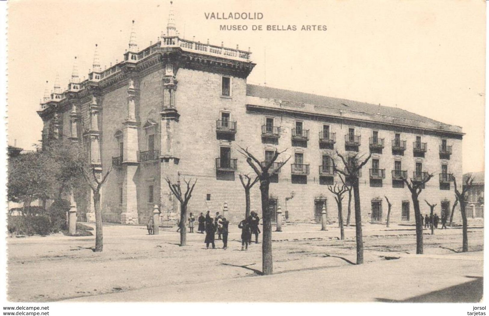 POSTAL     VALLADOLID  -ESPAÑA  - MUSEO DE BELLAS ARTES - Valladolid