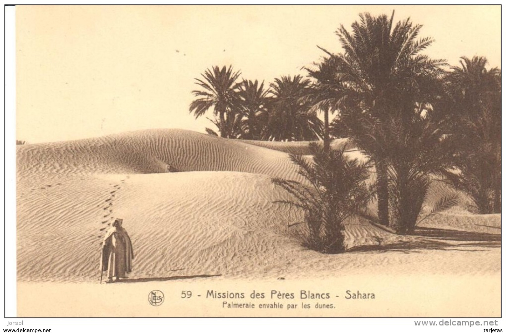 POSTAL  59.- SAHARA  - AFRICA  - MISSIONS DES PERES BLANCS  -PALMERALE ENVAHIE PAR LES DUNES - Sahara Occidentale