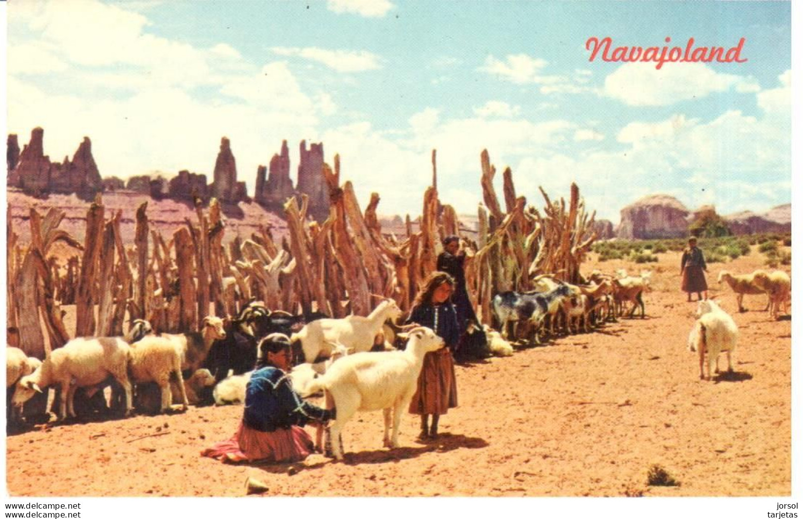 POSTAL   NAVAJOLAND  EN EE.UU. -NAVAJO SHEEP HERD - Amérique