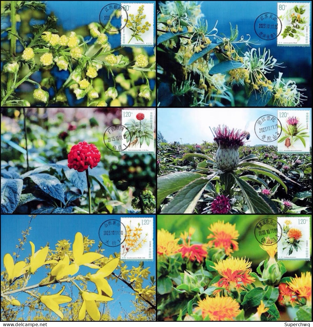 China Maximum Card,2023-20T "Medicinal Plants (III)",6 pcs - Maximum Cards