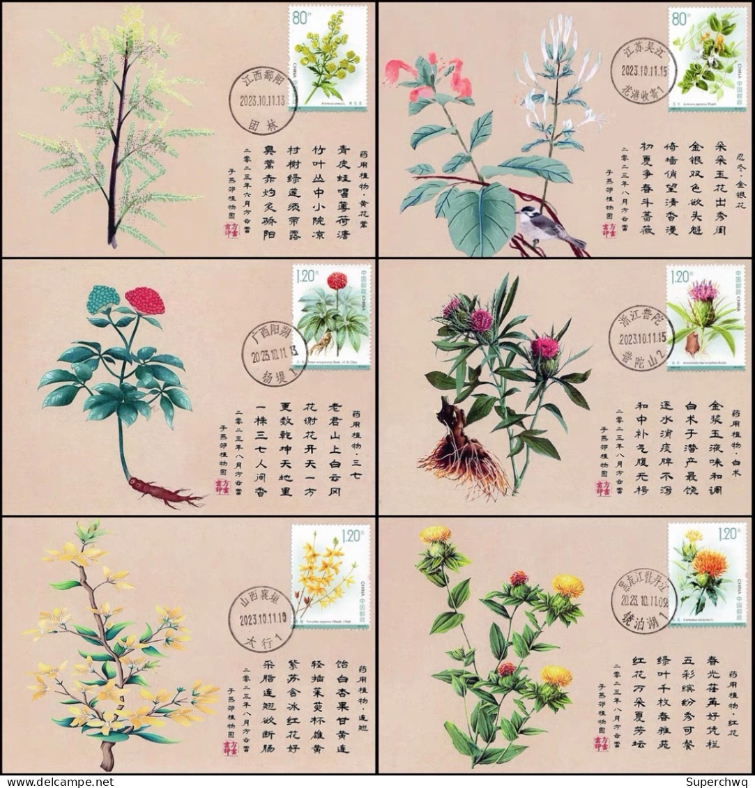 China Maximum Card,2023-20T "Medicinal Plants (III)",6 pcs - Maximumkarten