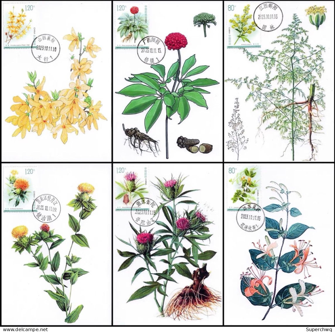 China Maximum Card,2023-20T "Medicinal Plants (III)",6 pcs - Maximumkaarten