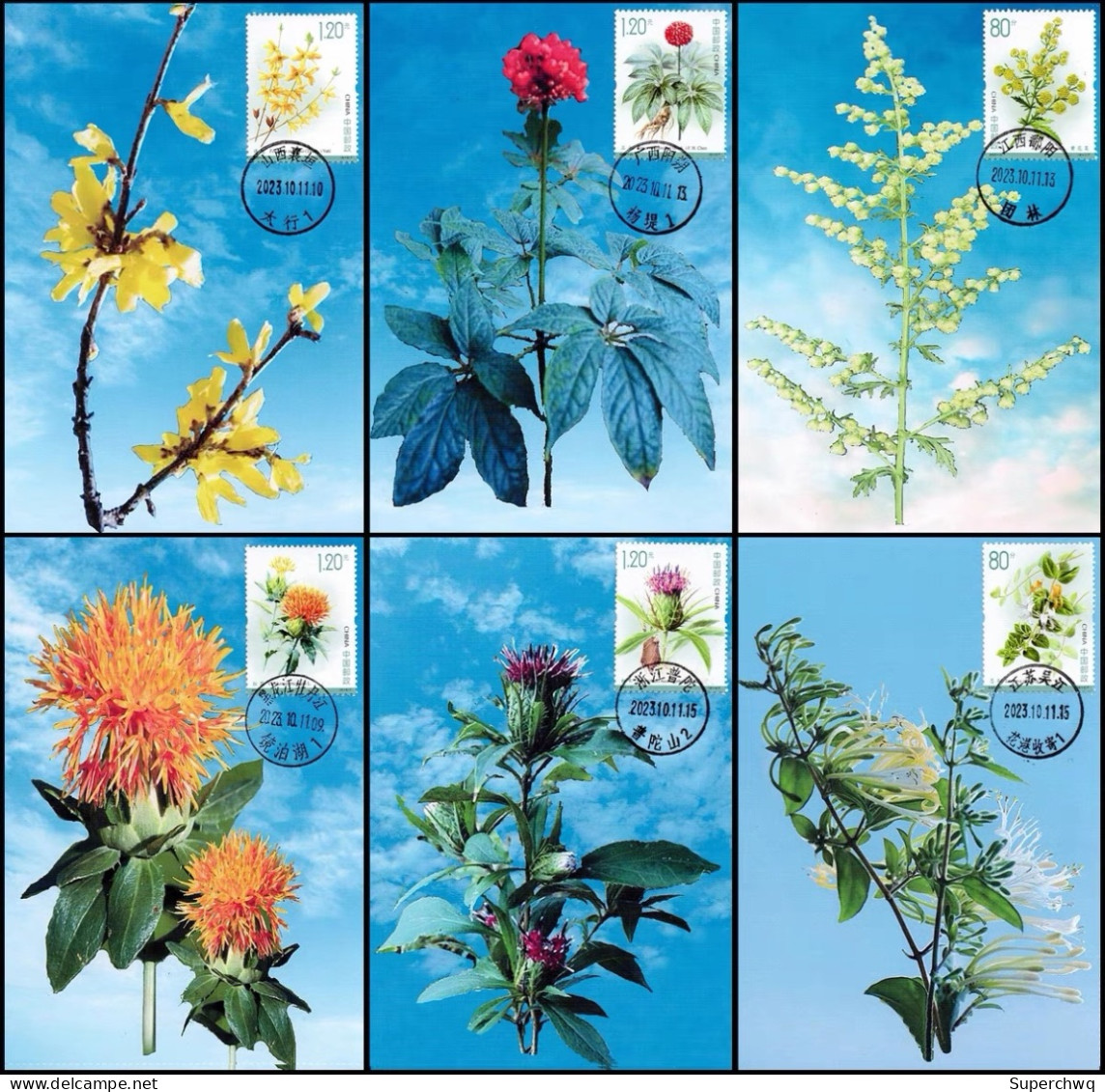 China Maximum Card,2023-20T "Medicinal Plants (III)",6 pcs - Maximumkarten