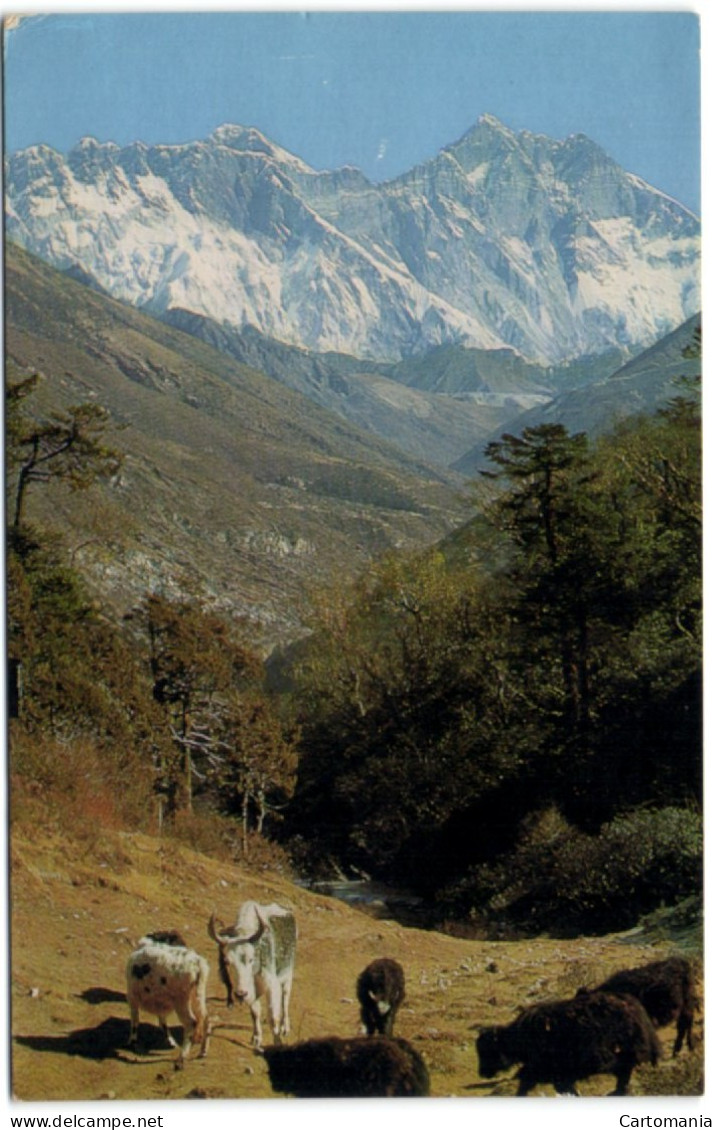 Népal - Nu-Tse - Mt. Everest - Lho-Tse - Nepal