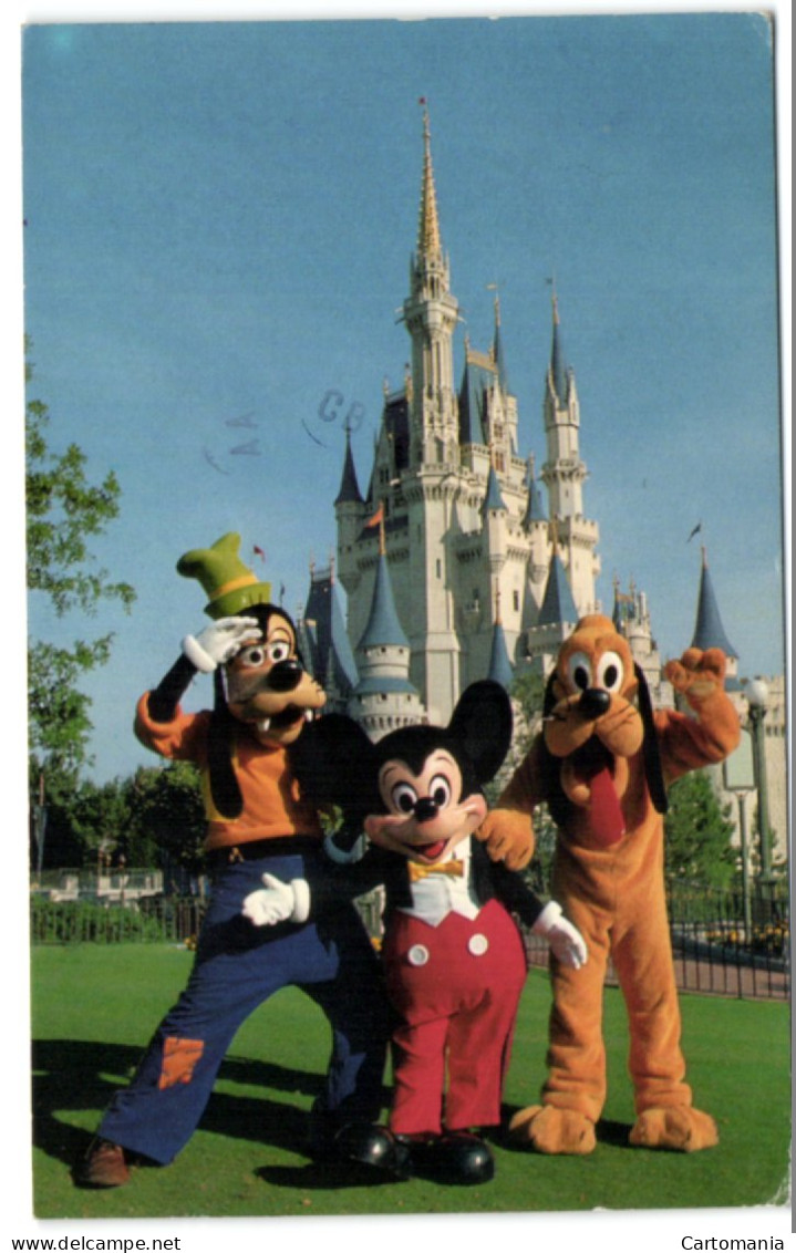 Mickey Mouse And His Pals - Disneyworld