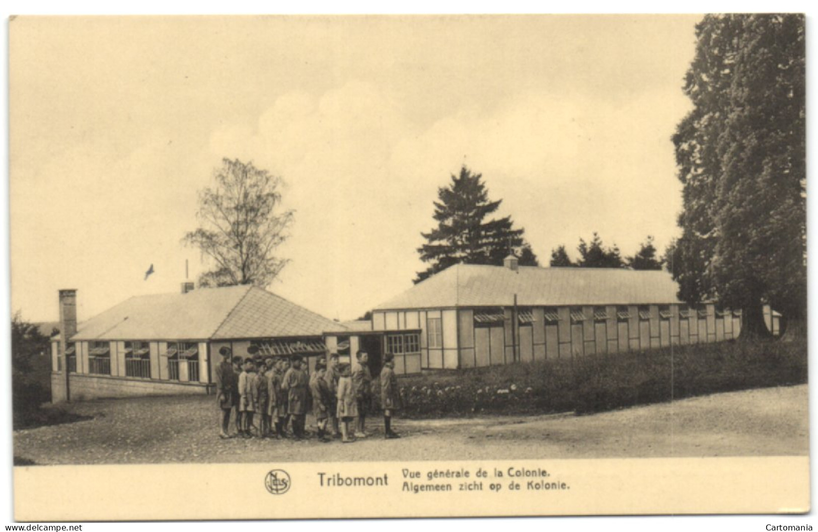 Tribomont - Vue Générale De La Colonie - Herve