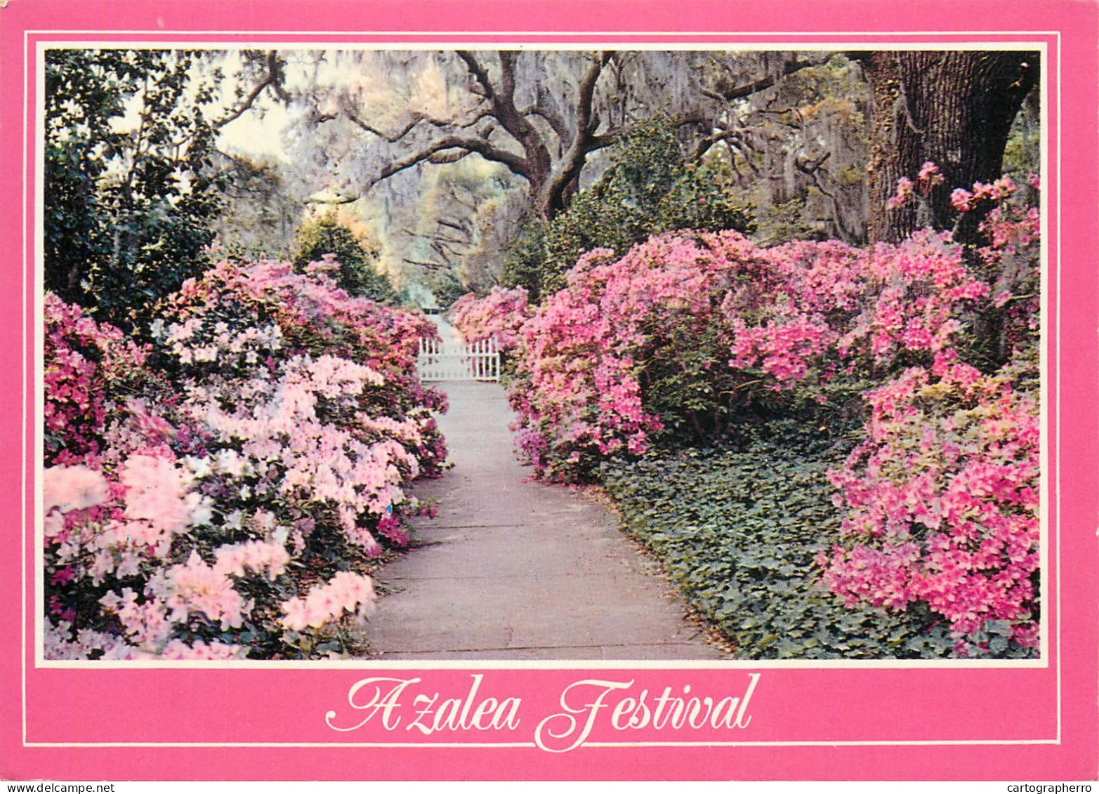 USA Wilmington NC Azalea Festival Garden View - Wilmington