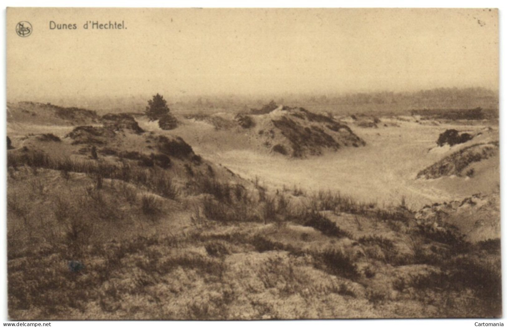 Dunes D'Hechtel - Hechtel-Eksel