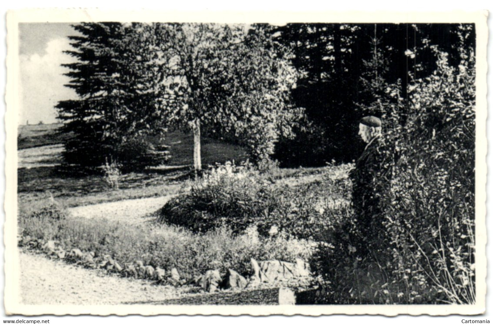 Erezée - Hostellerie La Noiseraie - Un Coin Du Jardin - Erezée