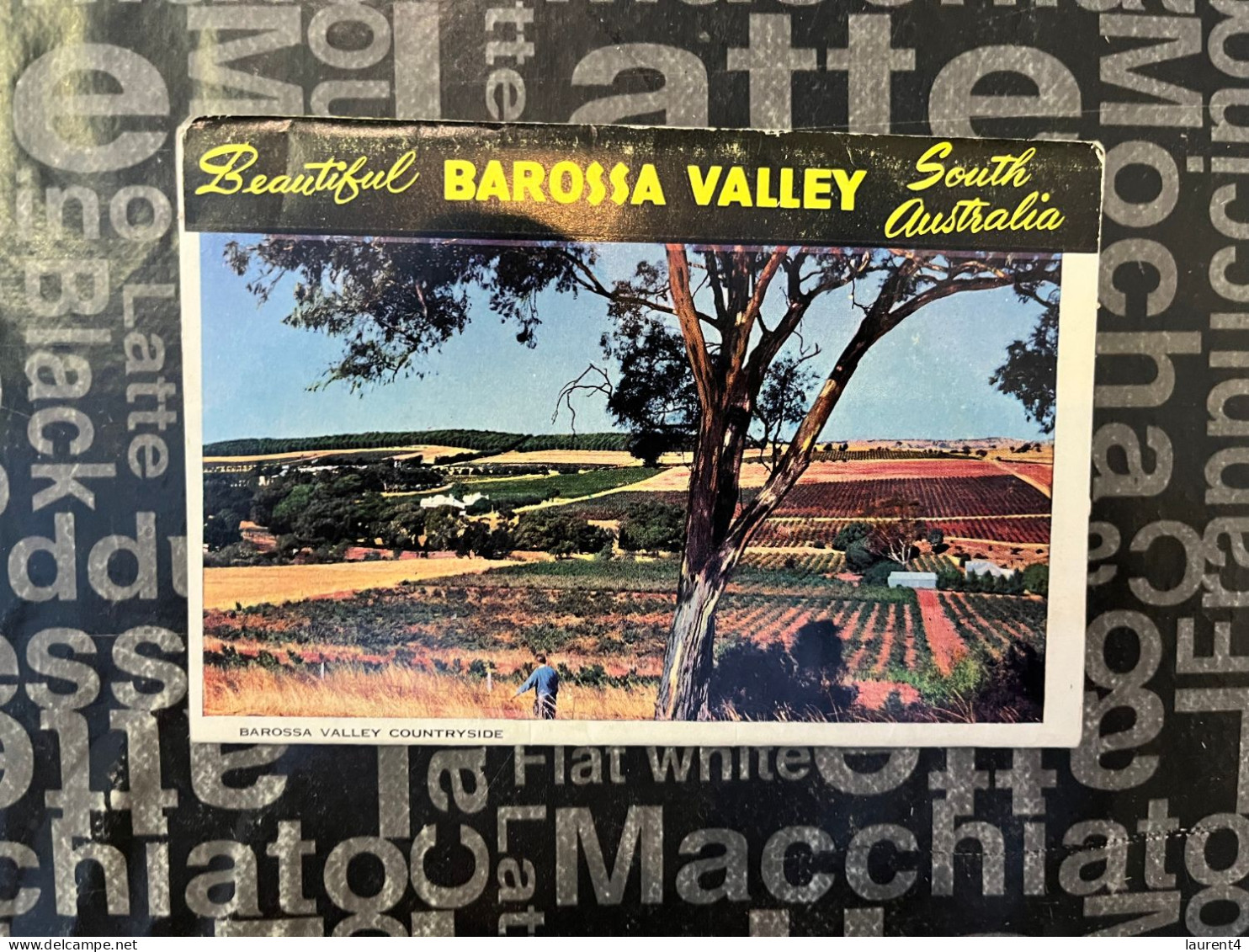 (Folder 145) Australia - SA (older) Barossa Valley - Barossa Valley