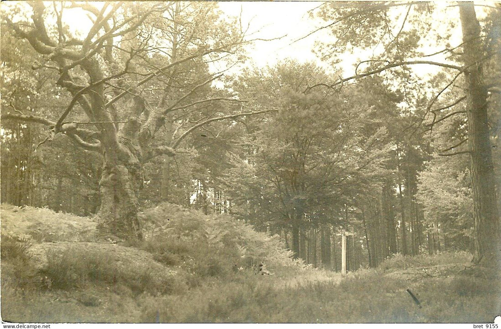 78 SAINT LEGER EN YVELINES CARTE PHOTO EN REVENANT DE LA BUTTE A L ANE - St. Leger En Yvelines