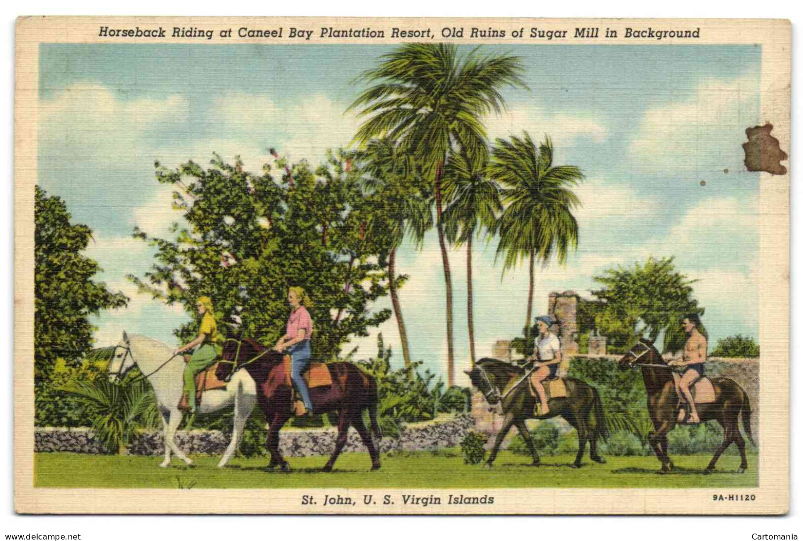 St. John US Virgin Islands - Horseback Riding At Caneel Bay Plantation Resort - Islas Vírgenes Americanas