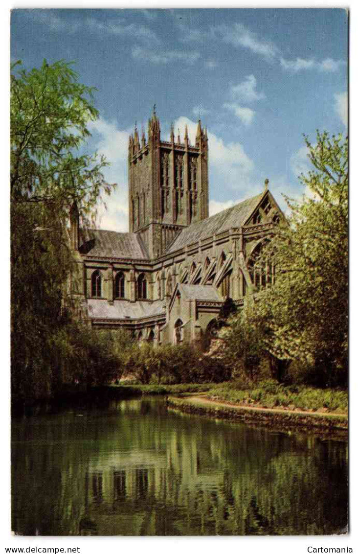 Wells - The Cathedral And Swan Pool - Wells