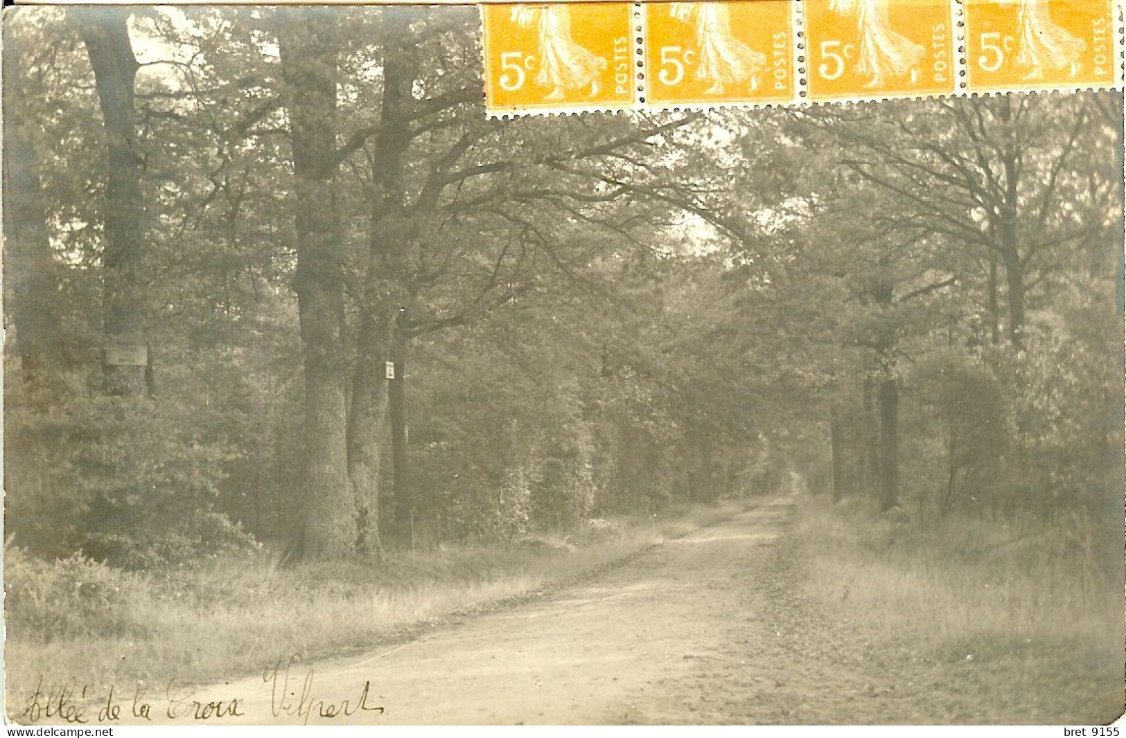 78 CARTE PHOTO LES BREVIAIRES SAINT LEGER EN YVELINES ALLEE DE LA CROIX VIPERT - St. Leger En Yvelines