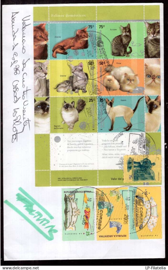 Argentina - 2005/07/08 - 4 Philatelic Envelope - Cats - Diverse Stamps - Storia Postale