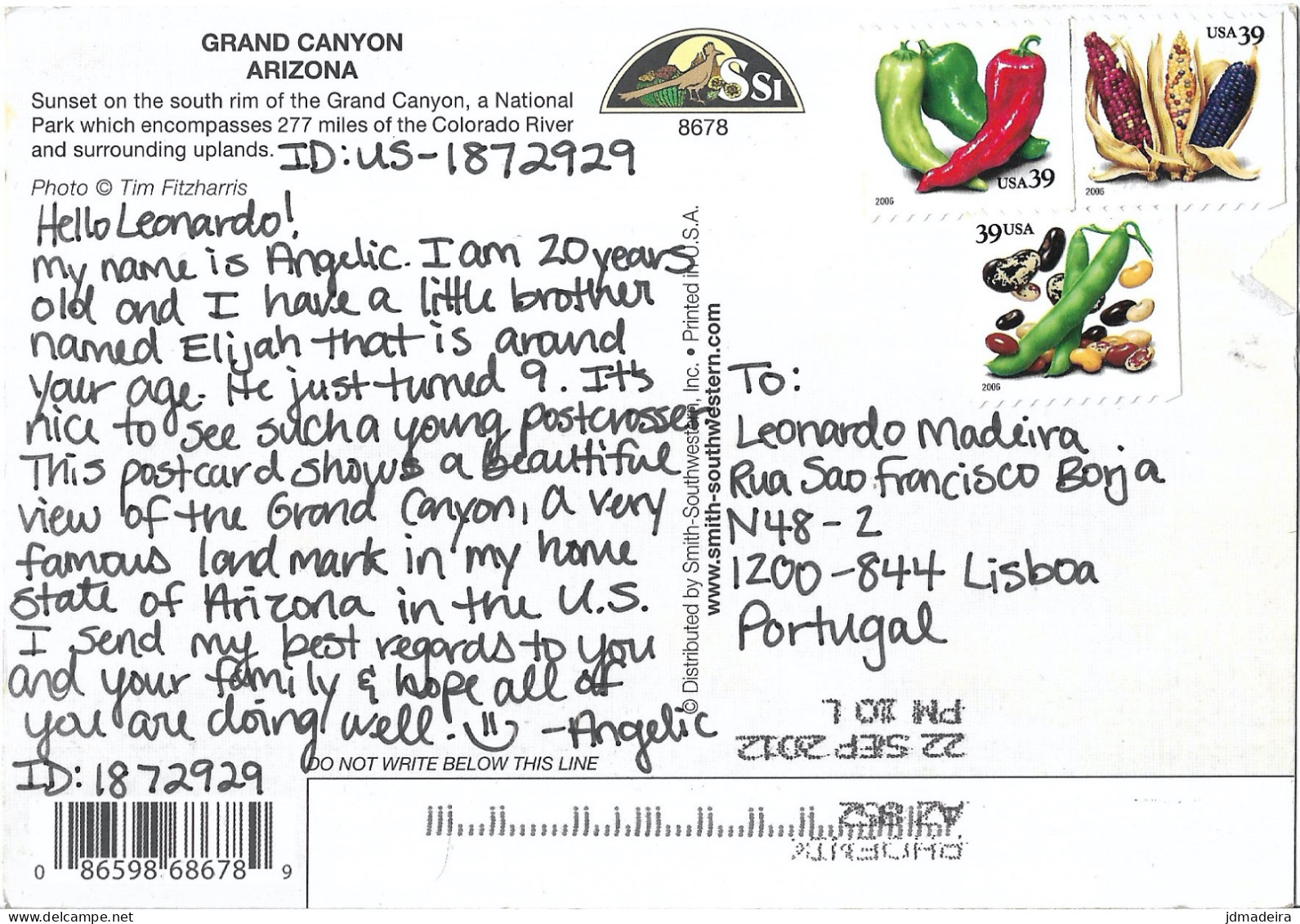 GRAND CANYON – Sunset Postcard - Gran Cañon